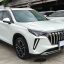 Trumpchi GS4 PLUS Galaxy Edition, 2022 10